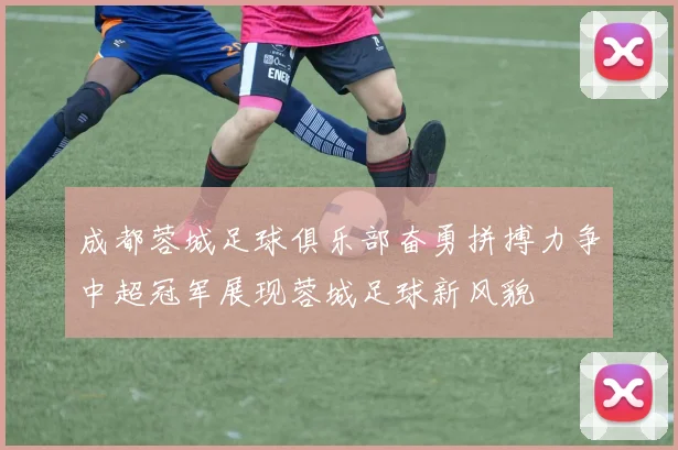 成都蓉城足球俱乐部奋勇拼搏力争中超冠军展现蓉城足球新风貌