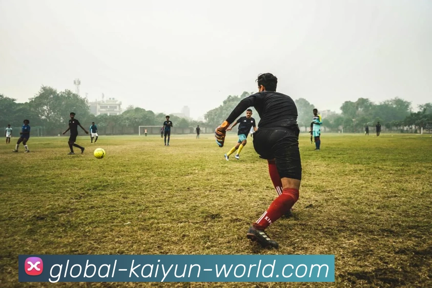 开云官网全站App